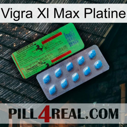 Vigra Xl Max Platinum new03